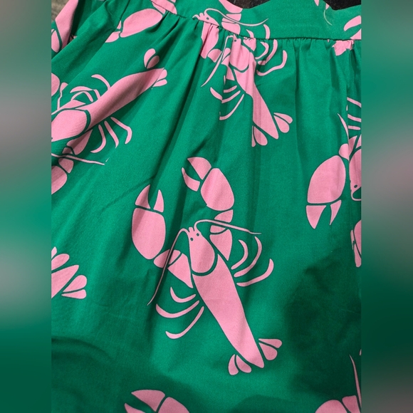Boden Green Midi Skirt with Pink Lobster Print - Size 12R - Picture 10 of 12